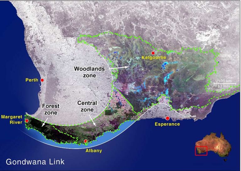 Gondwana Link