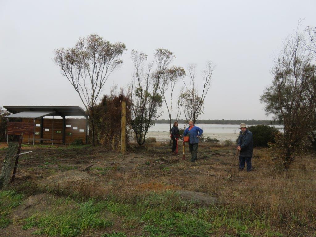 Revegetation Cranbrook