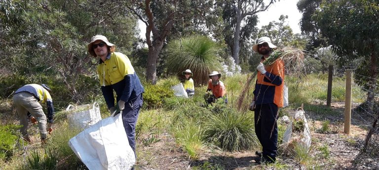 Ecojobs Perth