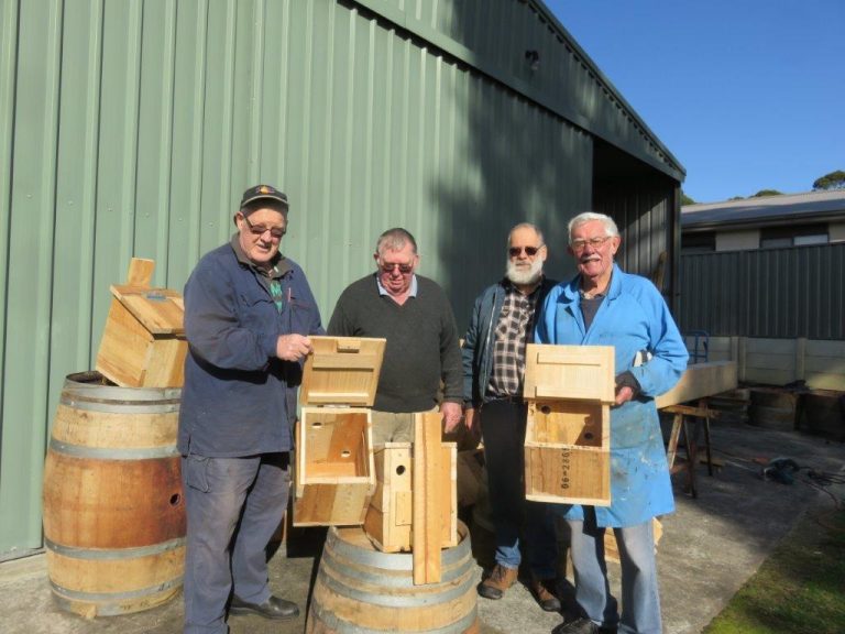 Phascogale Boxes