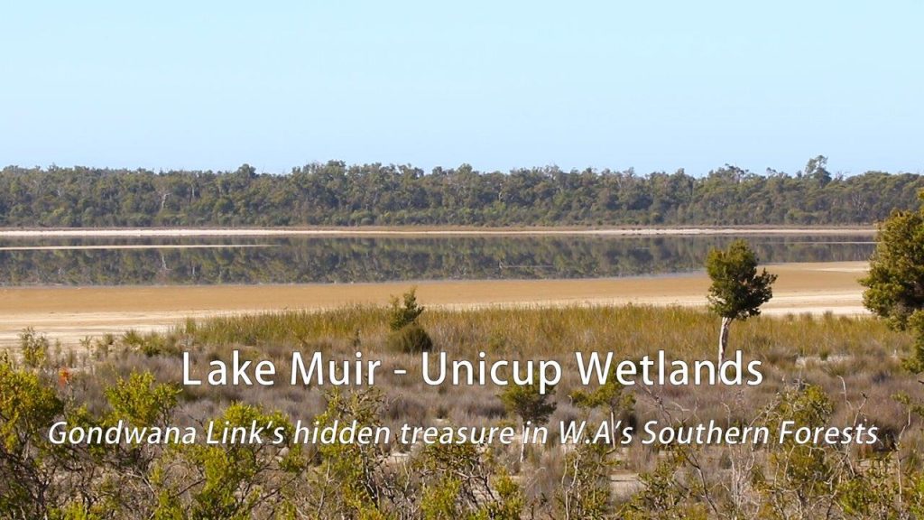 Lake Muir