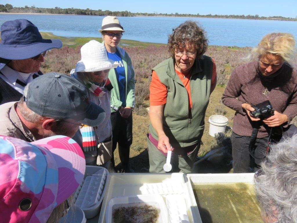 Successful Wetland Event