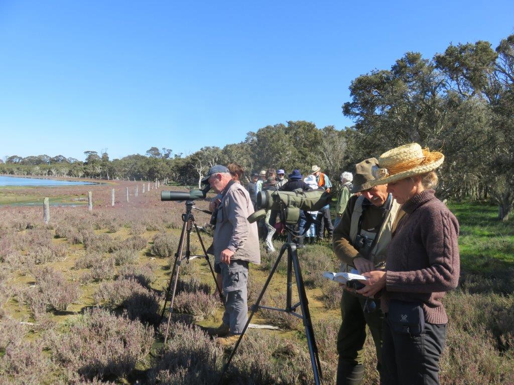 Successful Wetland Event
