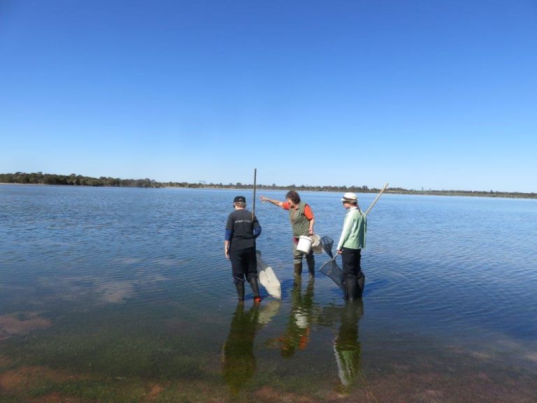 Successful Wetland Event