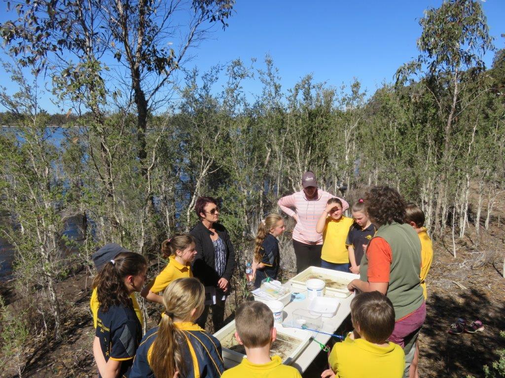 Successful Wetland Event