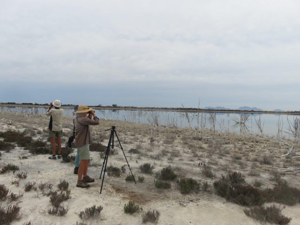 Bird Survey Outing