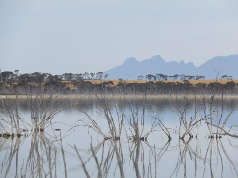 Bird Survey Outing