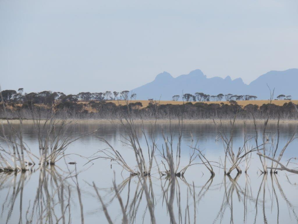 Bird Survey Outing