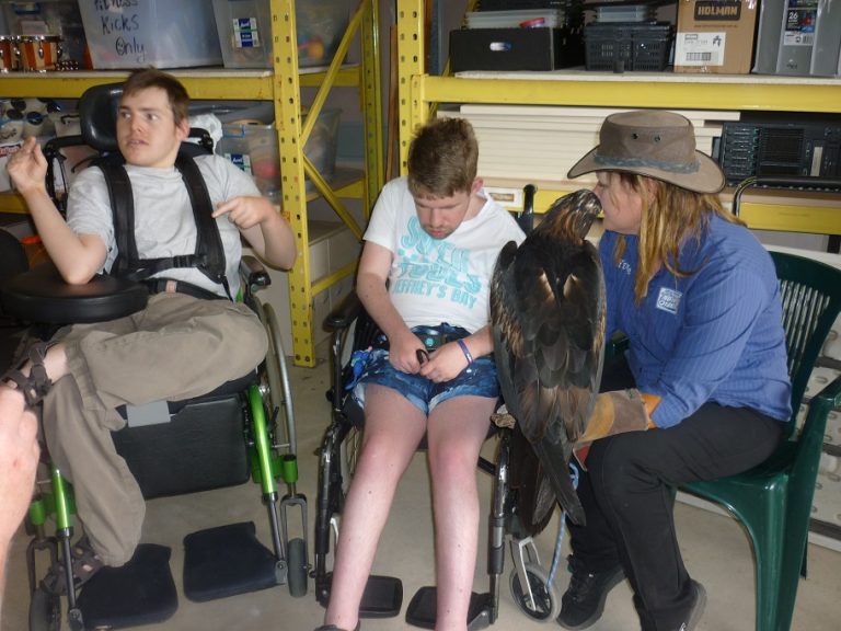 Birds of Prey Day - Activities for People Living with Disability