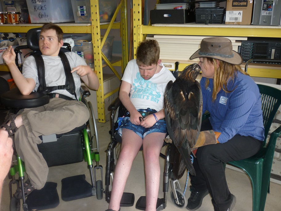 Birds of Prey Day - Activities for People Living with Disability