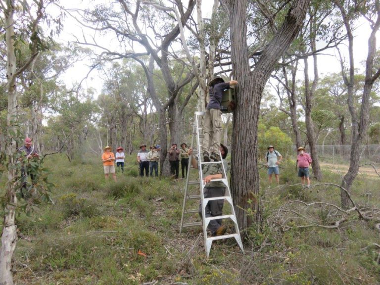 Visit to the Balijup Fauna Sanctuary