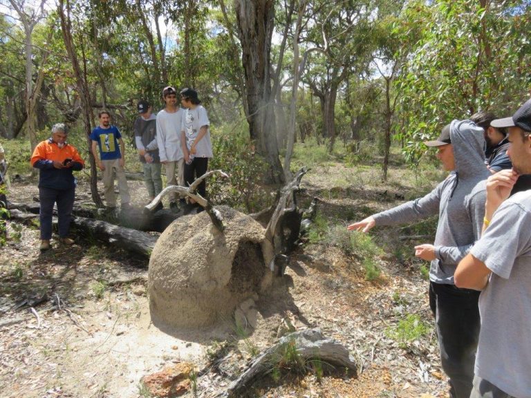 Noongar Cultural Visit