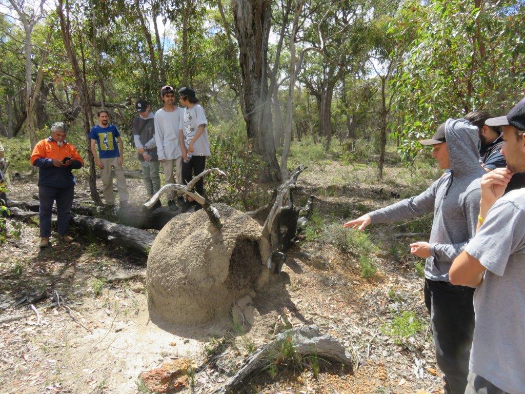 Noongar Cultural Visit