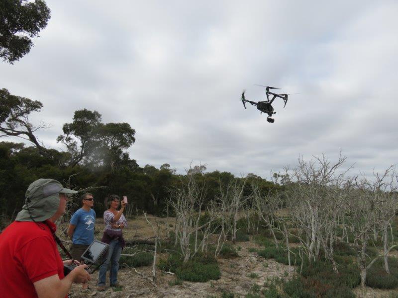Porongurup Eco Art Weekend