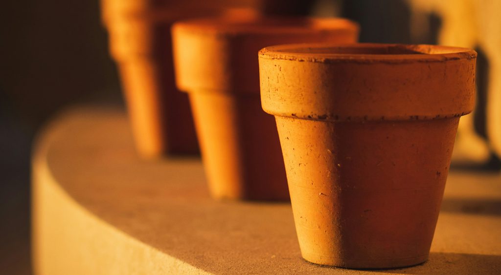 Plant Pots