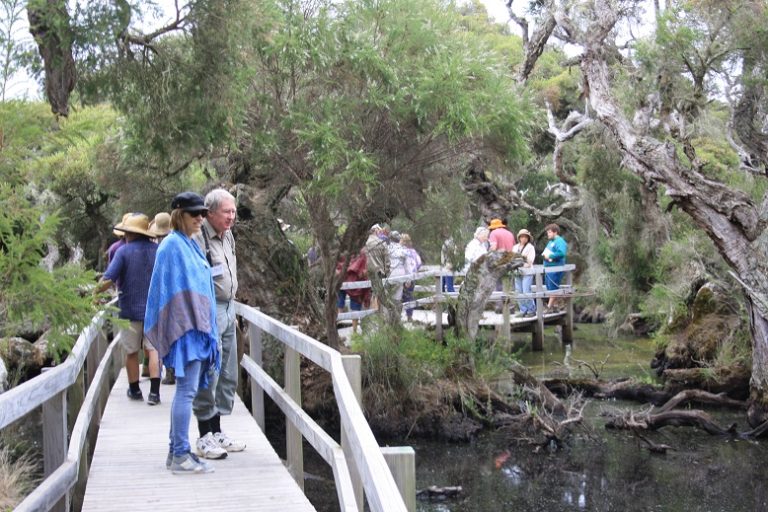 Wetland Centre