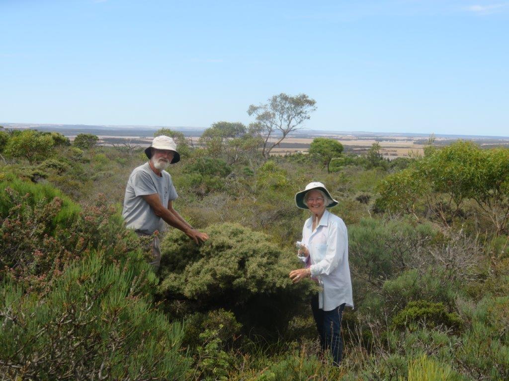 Bushland Survey