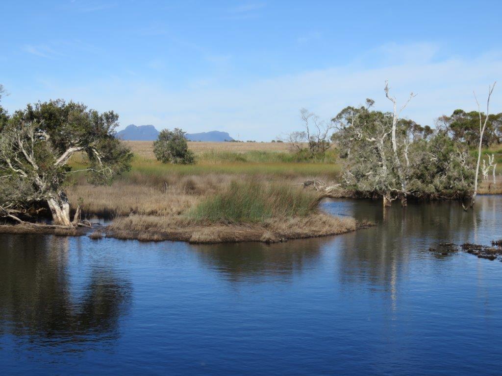 Bushland Survey