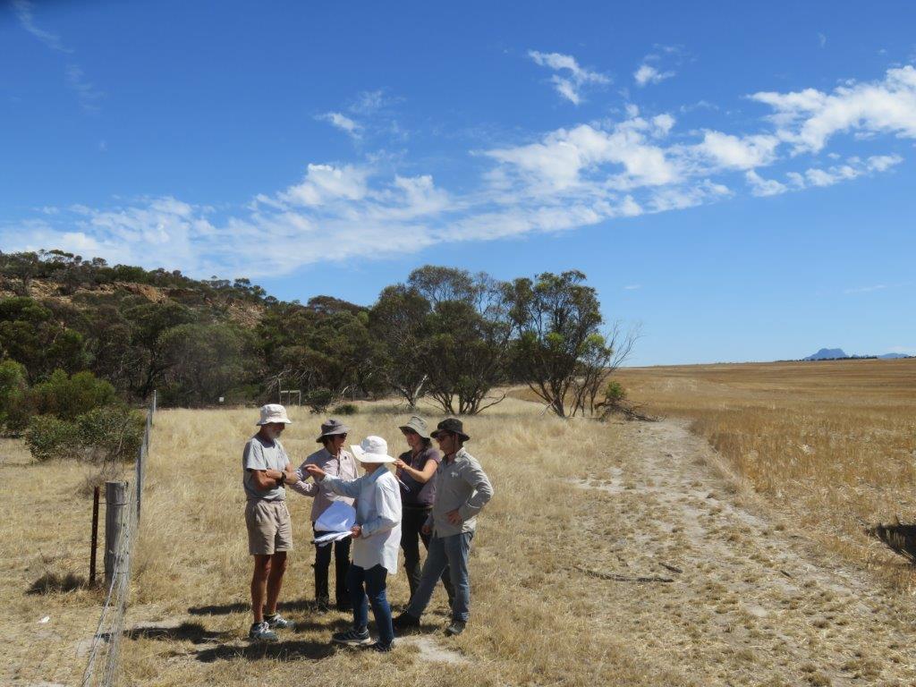 Bushland Survey