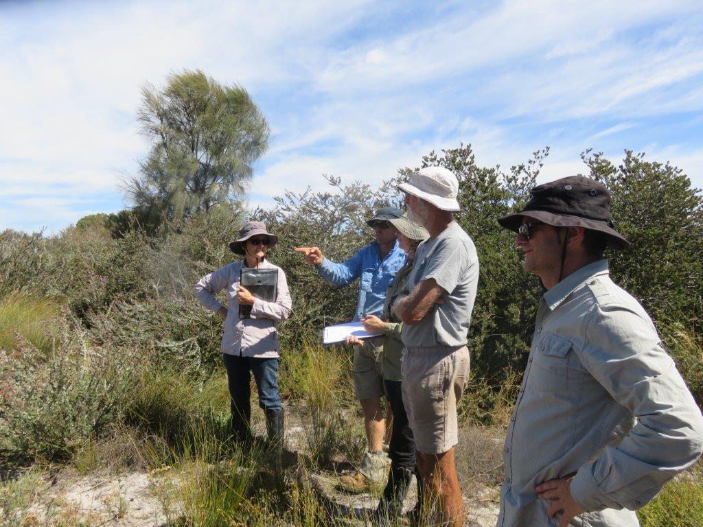 Bushland Survey