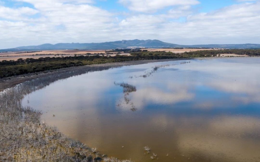 Porongurup Bioblitz Wetlands Survey 2018