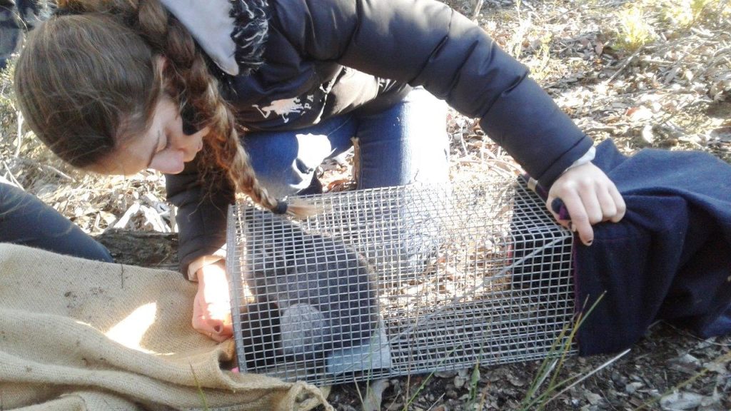 Citizen Science Fauna Weekend