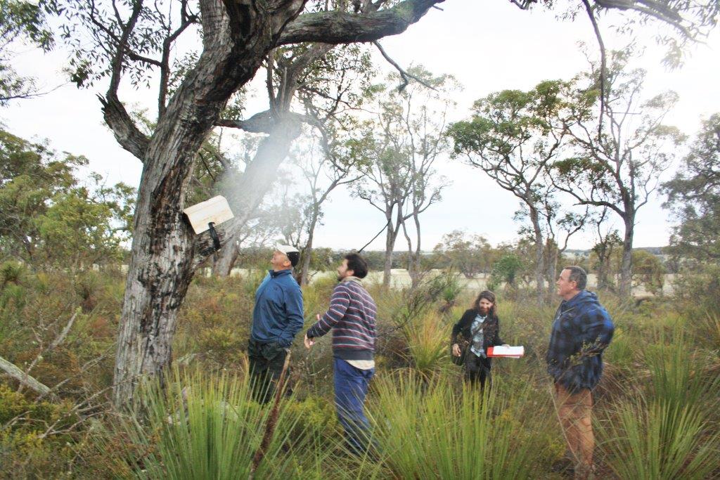 Citizen Science Fauna Weekend
