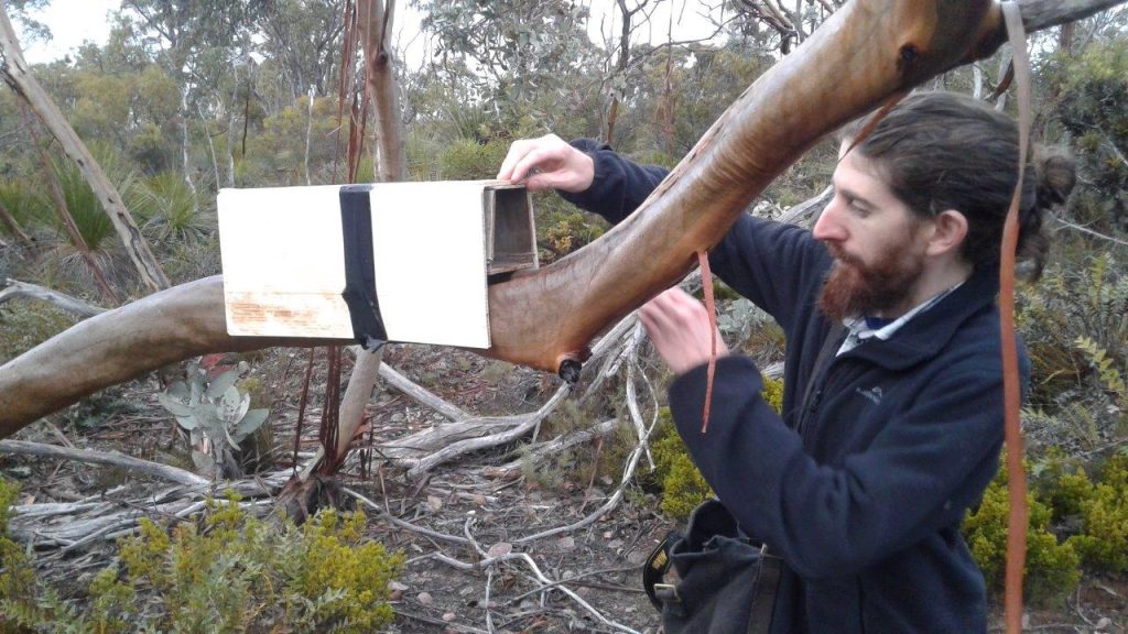 Citizen Science Fauna Weekend