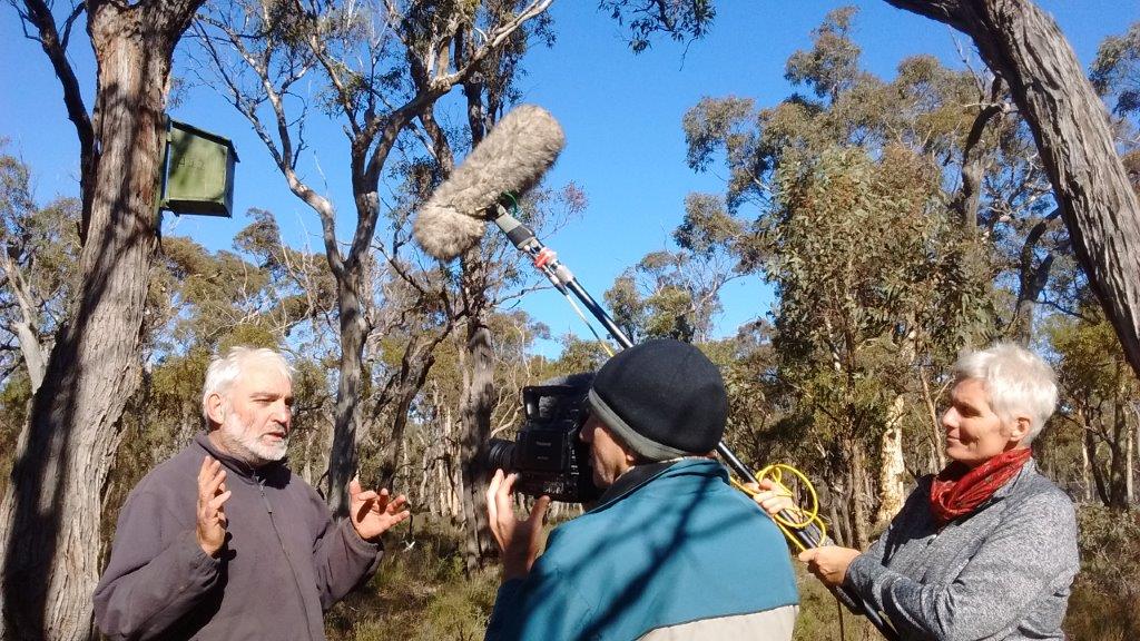 Citizen Science Fauna Weekend