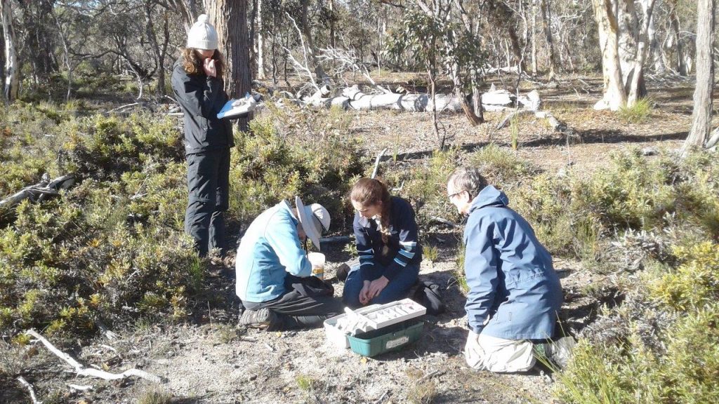 Citizen Science Fauna Weekend