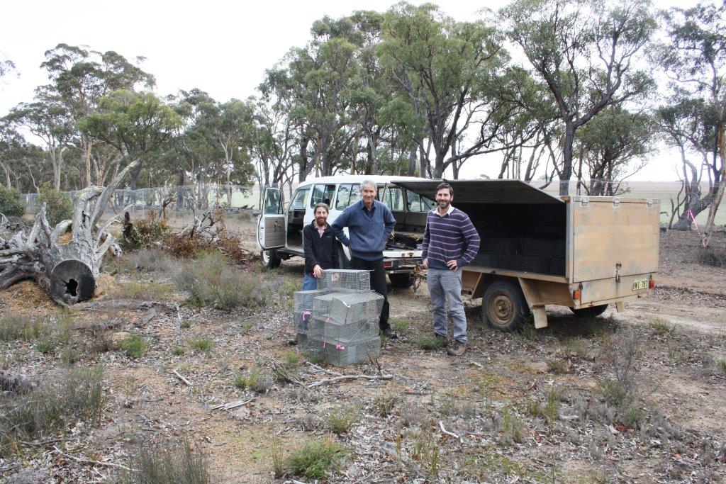 Citizen Science Fauna Weekend