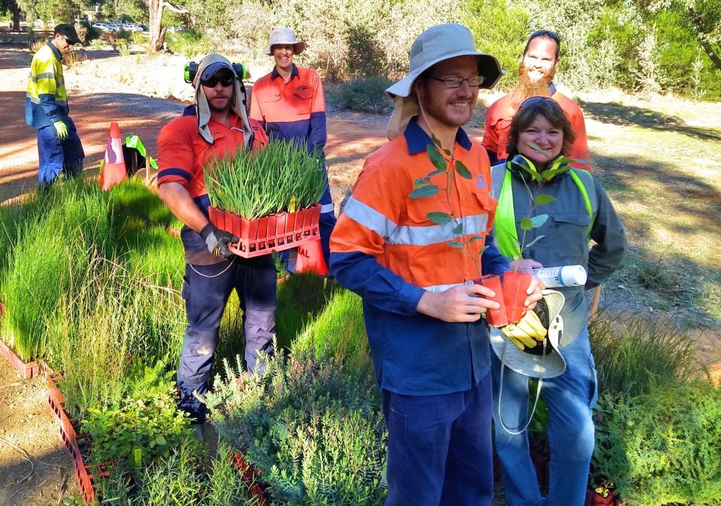 Ecojobs Planting