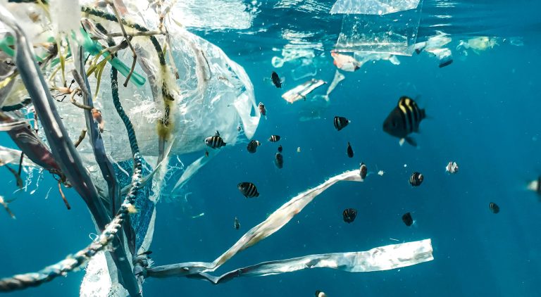 Plastic Free