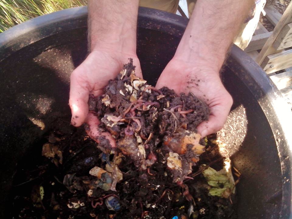 Permaculture
