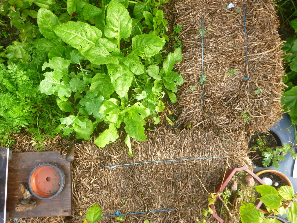 Permaculture