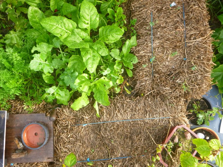 Permaculture