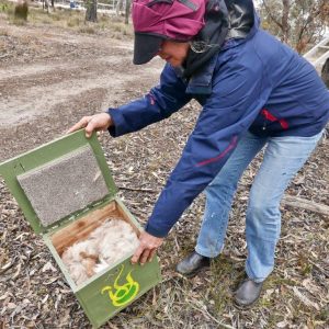 Citizen Science In Action