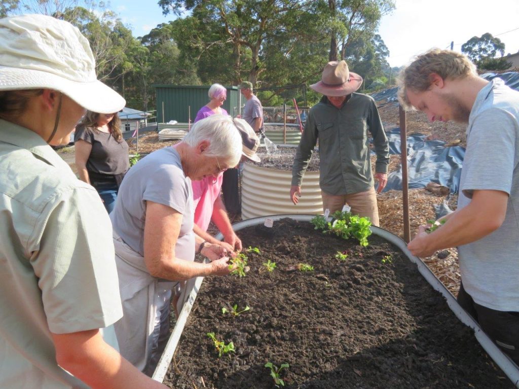 Community Garden