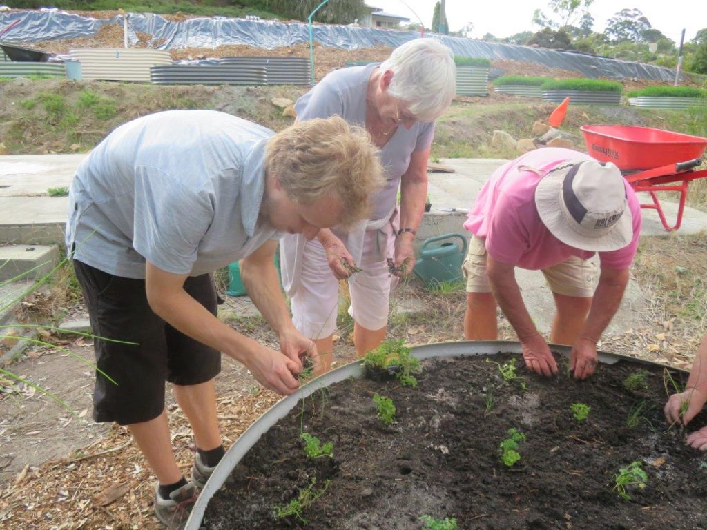 Community Garden