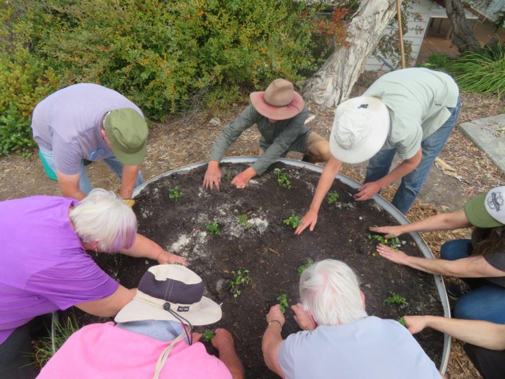 Community Garden
