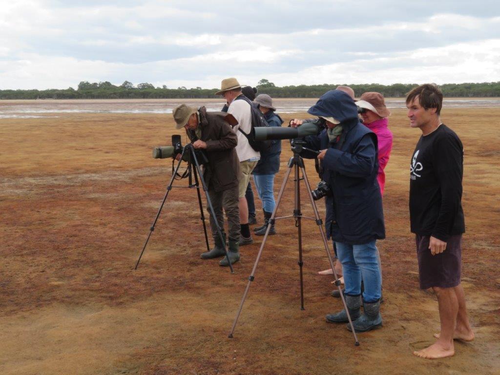 South Coast Festival of Birds And Biodiversity