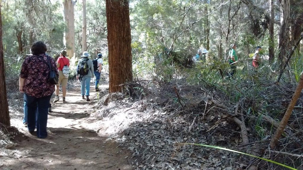 South Coast Festival of Birds And Biodiversity