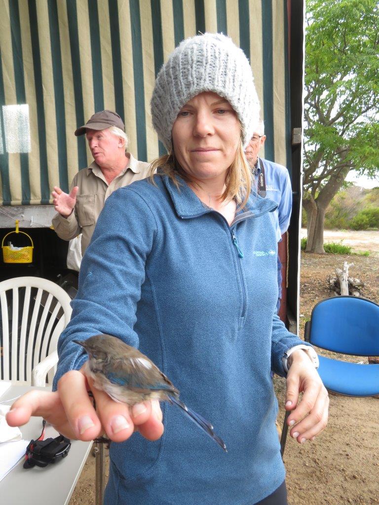 South Coast Festival of Birds And Biodiversity