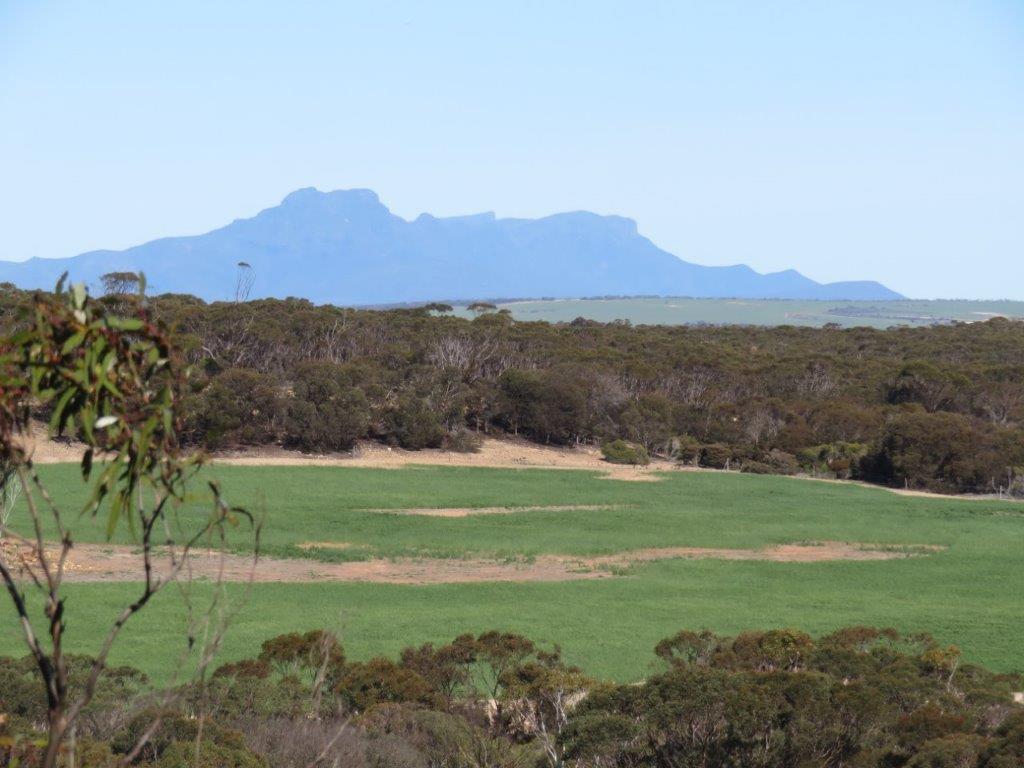 Biodiversity conservation in Gondwana