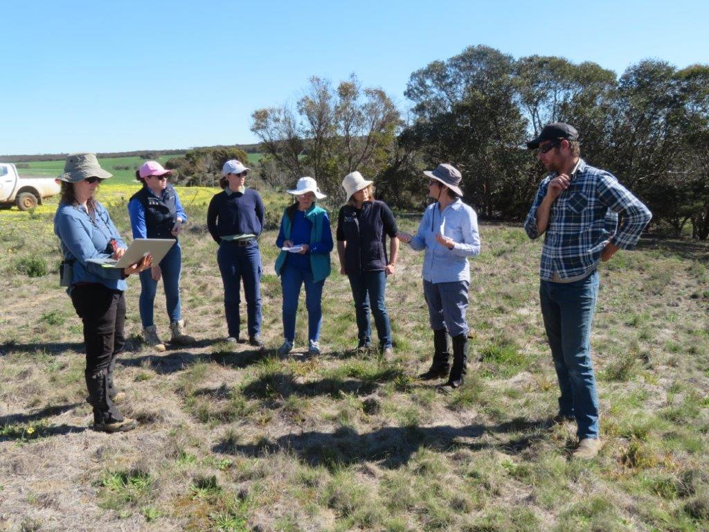 Biodiversity conservation in Gondwana