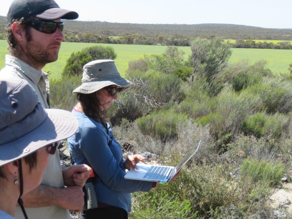 Biodiversity conservation in Gondwana