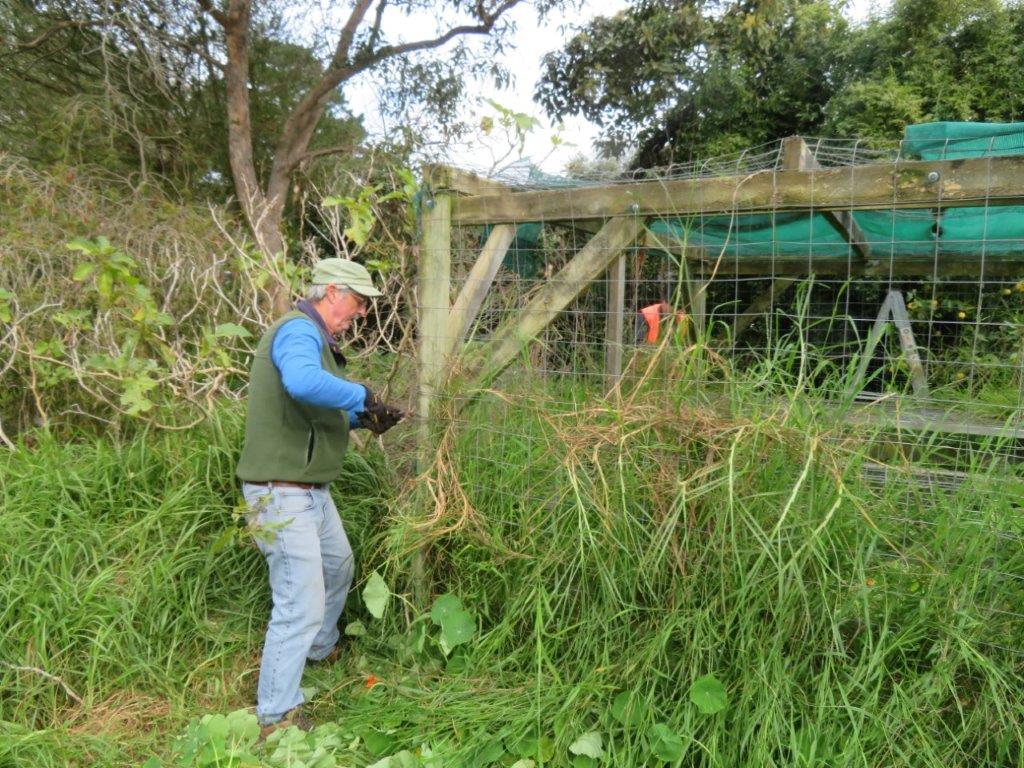 Marvellous Garden Givers