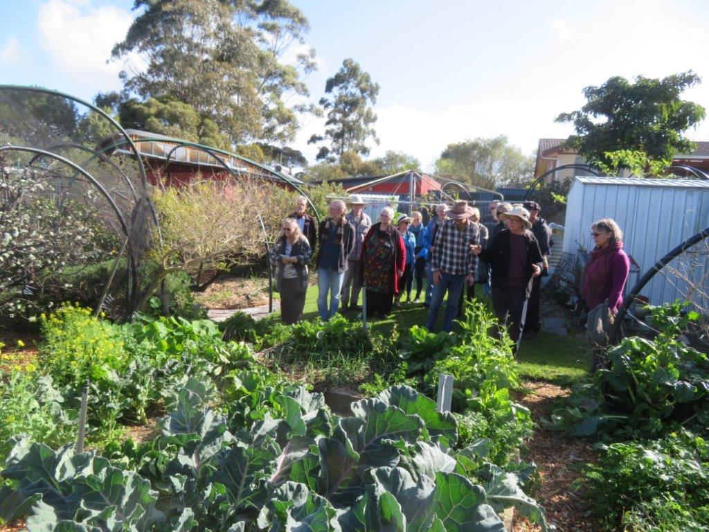 Marvellous Garden Givers