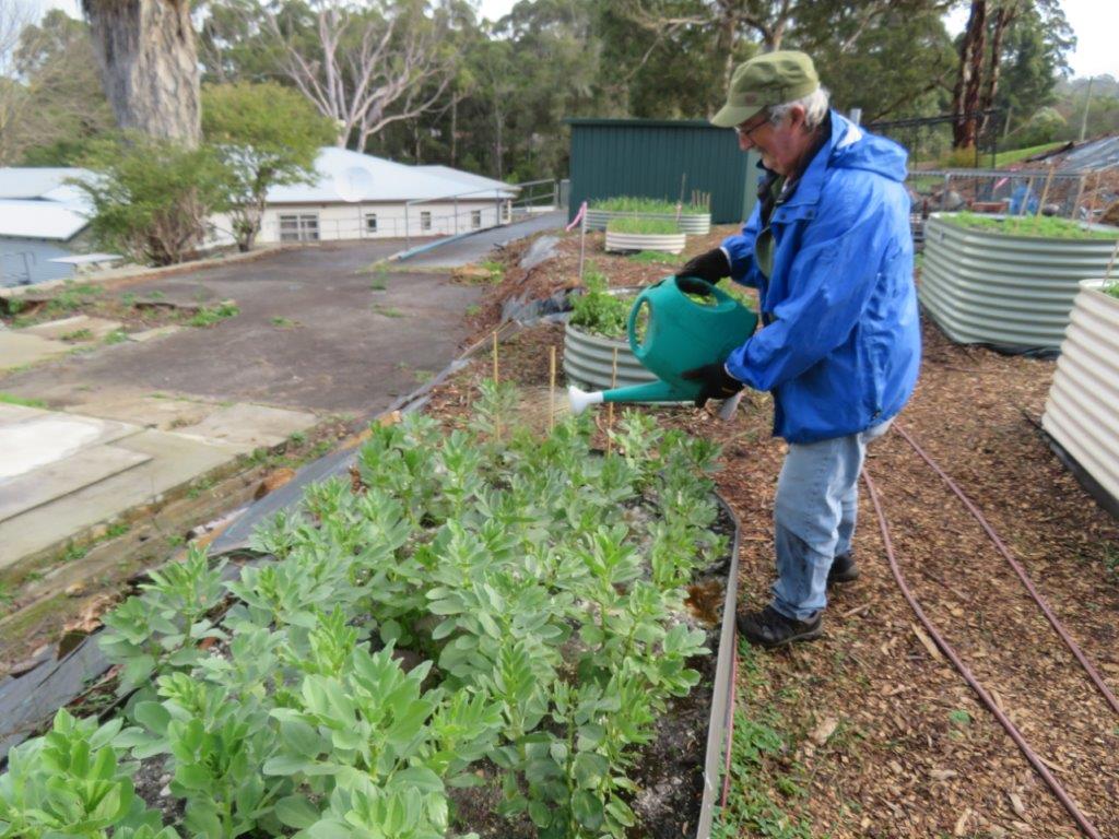 Denmark Community Garden