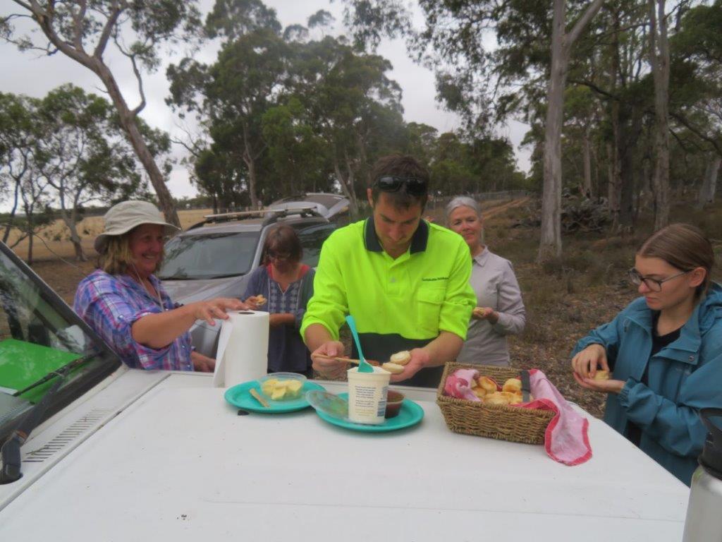 Bandicoots at Balijup